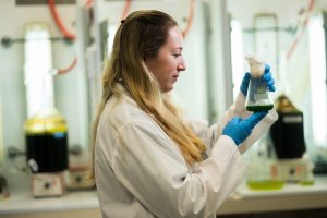 Research at the Schulich Faculty of Chemistry